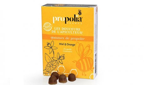 Spécialiste pour la vente de propolis à Lyon